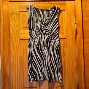 Ladies zebra print dress